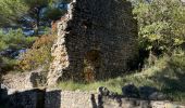 Tour Wandern Mérindol - Mérindol - Rando découverte - Mémorial et Musée des Vaudois - 1 - Photo 8