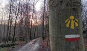 Trail Walking Liège - tourniquet au sart-tilman  - Photo 8