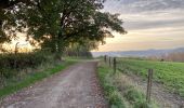 Tocht Stappen Luik - Jupille Terril du Hasard 23,2 km - Photo 9