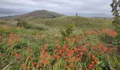 Percorso Marcia West Cork - Bere Island - Photo 10