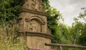 Tour Zu Fuß Volkach - Panoramaweg Mainschleife - Photo 2