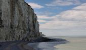 Tour Wandern Ault - Picardie 2022 : Ault - Mers par le bas desFalaise - Photo 3