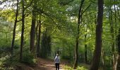 Trail Walking Gulpen-Wittem - Mechelen - Photo 4