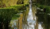 Tocht Stappen Saint-Porchaire - le CHATEAU DE LA ROCHE COURBON - Photo 11