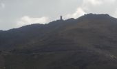 Trail Walking Collioure - autour de Collioure a travers les vignes - Photo 15