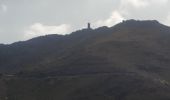 Randonnée Marche Collioure - autour de Collioure a travers les vignes - Photo 15