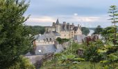 Tour Wandern Montsoreau - Montsoreau - Candes-Saint-Martin Fontevraud-l'Abbaye - 24.4km 435m 5h40 (45mn) - 2024 07 14 - Photo 2