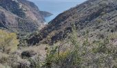 Trail Walking Nerja - Montes Cerro Caleta - Photo 3