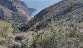 Tour Wandern Nerja - Montes Cerro Caleta - Photo 3