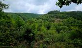 Excursión Senderismo La Roche-en-Ardenne - Balade à Maboge - La Roche en Ardennes - Photo 3