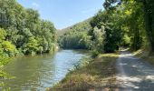 Trail  Conques-en-Rouergue - Saint cyprien figeai - Photo 2
