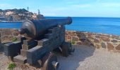 Tour Wandern Port-Vendres - aux environs de Port-Vendres - Photo 12