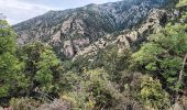 Trail Walking Vernet-les-Bains - Vernet 2 - Photo 3