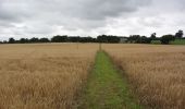 Tocht Te voet Broadland - Aylsham Circular - Photo 5