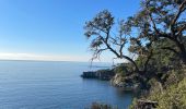 Trail  Hyères - GIENS - Photo 6
