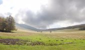 Tocht Stappen Omblèze - Plateau d'Ambel (le tour) - Photo 20