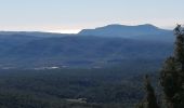 Tocht Stappen Plan-d'Aups-Sainte-Baume - la sainte beaume  - Photo 11