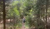 Tocht Stappen Rendeux - Cheoux  - Photo 12