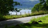 Tocht Te voet Eden - Aira Force and Gowbarrow Trail - Photo 9