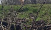 Tocht Stappen Ham-sur-Heure-Nalinnes - Marbaix cimetière-La Houzée - Photo 11