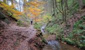 Trail Walking Waimes - RS 2024_10 Botrange  - Photo 6