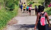 Tour Wandern Sainte-Anne - Cap Chevalier vers la pointe-Marin - Photo 11