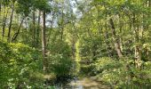 Percorso A piedi Groß Köris - Rundweg Löpten - Photo 2