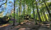 Tour Wandern Waldbillig - Müllerthal W7 par la déviation  - Photo 17