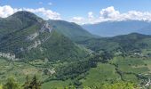 Trail Walking La Thuile - La Thule 01-06-2021 - Photo 10