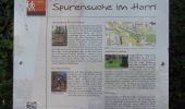 Tour Zu Fuß Auetal - Rundwanderweg 1 im Harrl - Photo 9