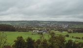 Tour Zu Fuß Mandelbachtal - Natura Trails Ormesheim - Photo 7