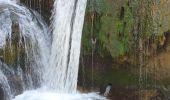 Excursión Senderismo Sarnano - SARNANO CASCADES PERDUES  - Photo 2