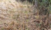 Trail Walking Marray - Marray - Les versants de la Dême - Photo 16