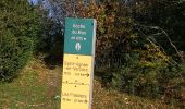 Tocht Stappen Vassieux-en-Vercors - la roche du Mas et les scialets  - Photo 1