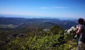 Trail Walking Plan-d'Aups-Sainte-Baume - Le Pic de Bertagne - Photo 1