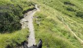 Trail Horseback riding Accous - Lhers - Puenta de Santa Ana - Photo 13