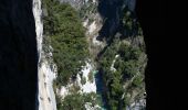 Trail Walking La Palud-sur-Verdon - Chalet de la Maline - Point Sublime - Photo 10