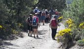 Tocht Stappen Aínsa-Sobrarbe - el grado Guaso Sierra puis voiture jusqu'à Sarratillo - Photo 7