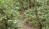 Trail Walking Simiane-Collongue - Le chemin de Gui , la carrière  de Peycai - Photo 3
