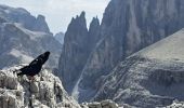 Excursión Senderismo Sexten - Sesto - DOLOMITES 06BIS - Rifugio LAVAREDO 2344m - Photo 15