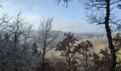 Trail Walking Wierschem - château Eltz - Photo 13