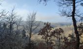 Randonnée Marche Wierschem - château Eltz - Photo 13