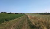 Percorso Marcia Reignac-sur-Indre - Reignac-sur-Indre - Cigogné - 15.6km 120m 4h10 (55mn) - 2025 06 18 - Photo 4