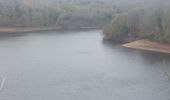 Trail Walking Ploufragan - PR_22_Ploufragan_AA_01_Circuit1b_Barrage-Du-Lac-De-St-Barthelemy_20250101 - Photo 14