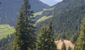 Tour Wandern Toblach - Silverstertal - Valle San Silvestro - Photo 6