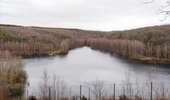 Randonnée Marche Couvin - Balade familiale autour du barrage du Ry de Rome - Photo 4