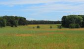 Tour Zu Fuß Schwielochsee - Wanderweg Lamsfeld-Klein Liebitz-Lieberose - Photo 5