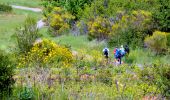 Tour Wandern Seillons-Source-d'Argens - Trace_Seillons - Photo 3