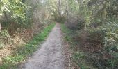 Tour Wandern Riemst - autour de Kanne via montagne St Pierre et les vignes - Photo 9