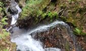 Trail Walking Plancher-les-Mines - Cascades de la Goutte des Saules - Belvédère - Grotte St Antoine - Photo 11